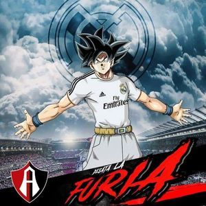 Meet your Posher, Fernando